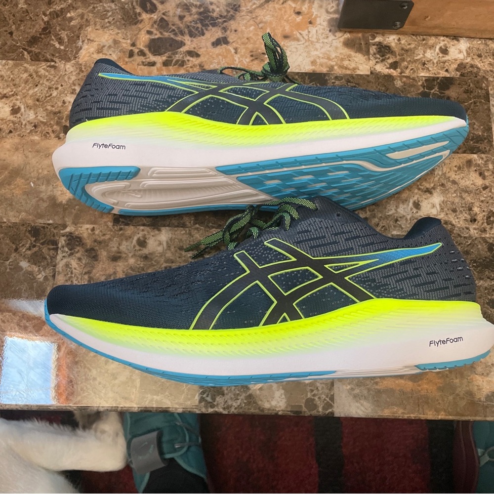 Asics Evoride 2